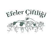 23 Efeler